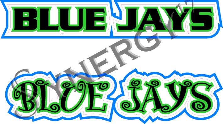 Blue Jays Mascot Design Blue Jays Mascot Design